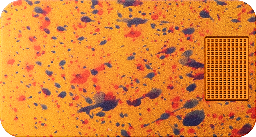 1.Desert_Rain_1f34b6b8-c5a8-480c-93d3-d5e209a64126.png