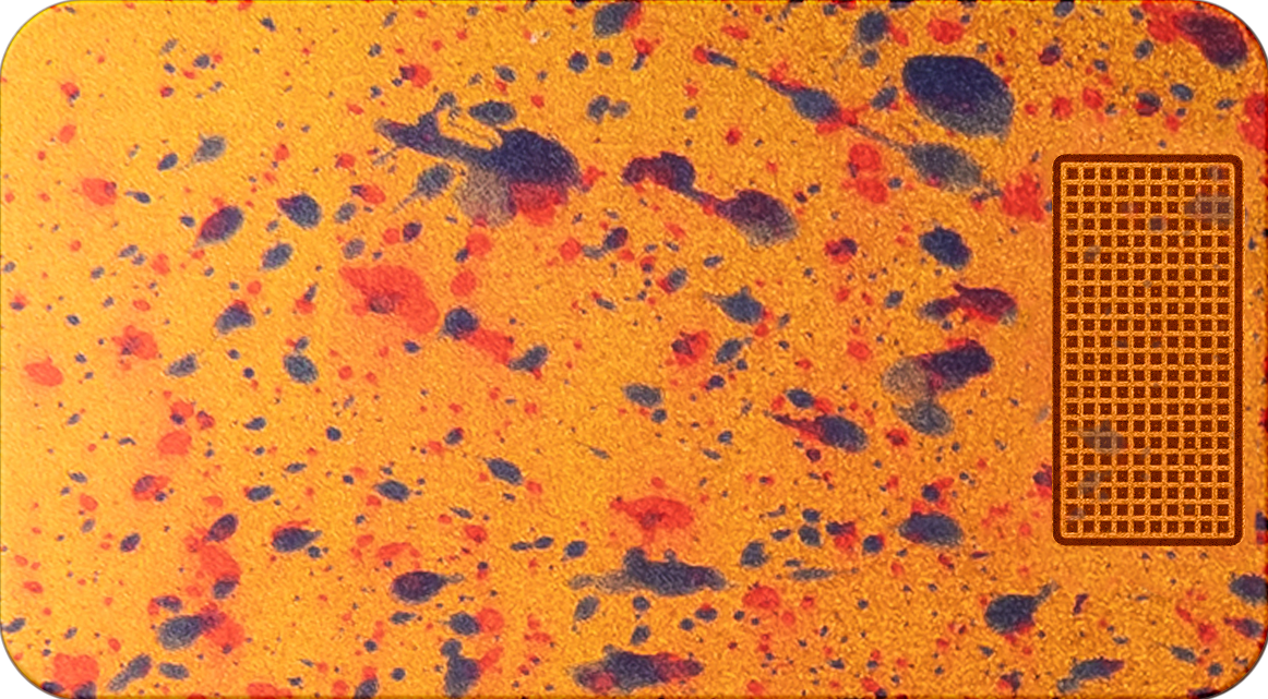 1.Desert_Rain_b01e6c48-97ba-401a-8072-ead23da9abac.png