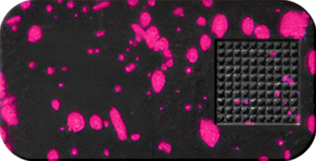 Nano_Pill_Case_Black_Pink_Splatter.png