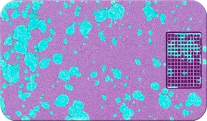 mpc_disco_splatter.png