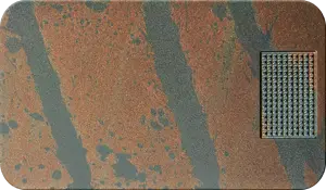 mpc_reptile_stripes.png
