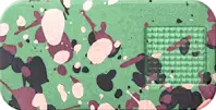 npc_camo.png