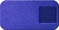 npc_indigo.png