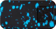 nvc_black_blue_splatter.png