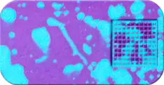 nvc_disco_splatter.png